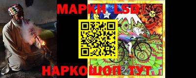 индика Новодвинск