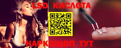 индика Новодвинск