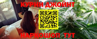 индика Новодвинск