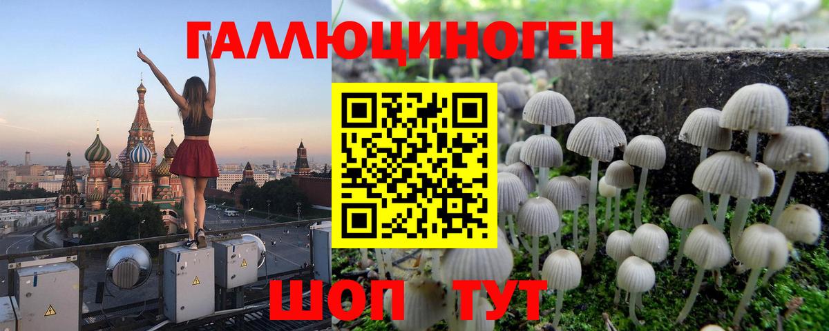 Псилоцибиновые грибы ЛСД  Вход с VPN  Унеча  Псилоцибиновые грибы прущие грибы 